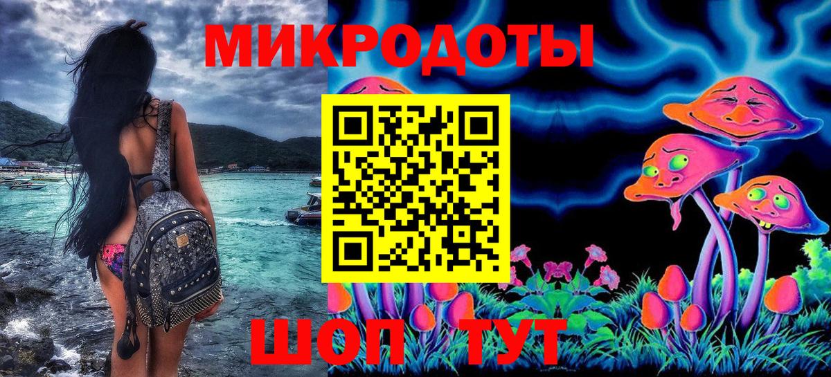 Галлюциногенные грибы Psilocybine cubensis Ликино-Дулёво